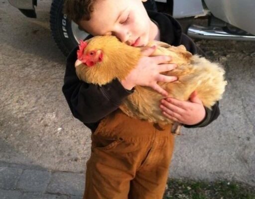 HE WOULDN’T LET GO OF THE CHICKEN—AND I DIDN’T HAVE THE HEART TO TELL HIM WHY SHE WAS MISSING YESTERDAY