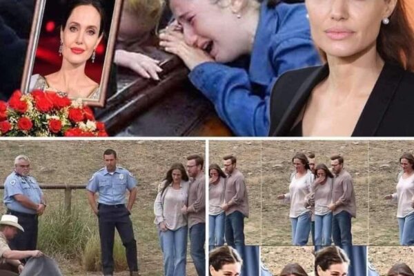 Hollywood announced about the Legendary actor Angelina Jolie, He has been confirm as